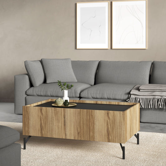 Kendall Coffee table with 2 Drawers Oak and Black